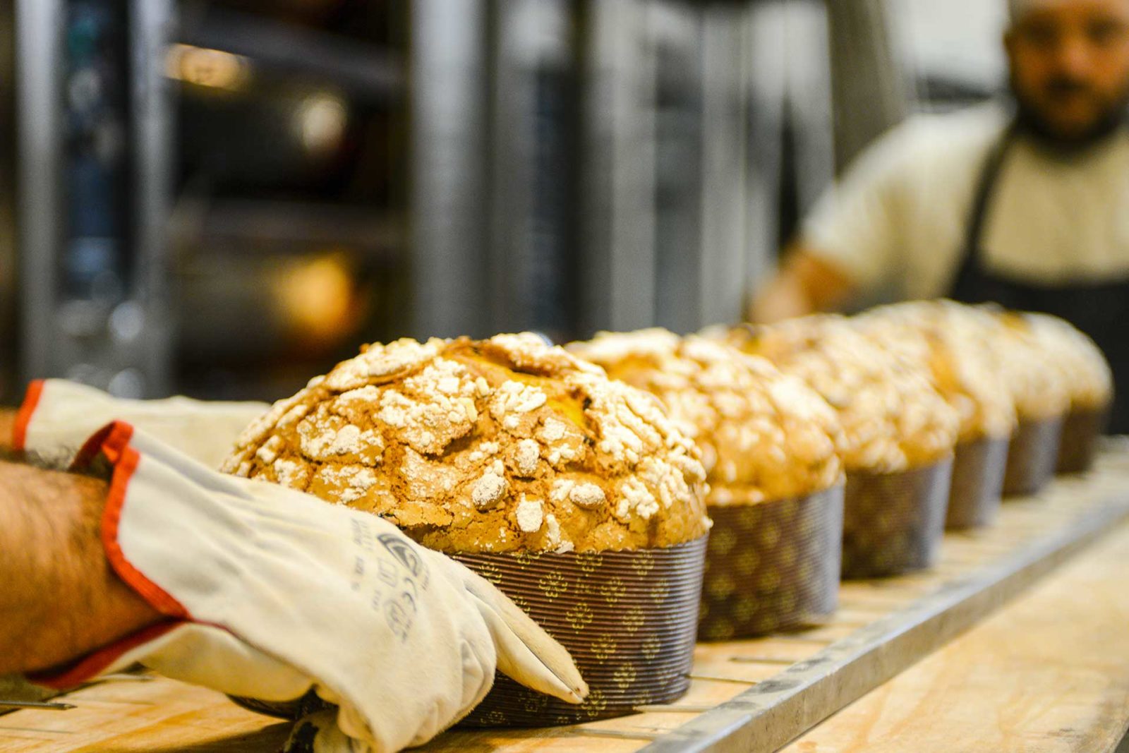 PanettoneMalafronte