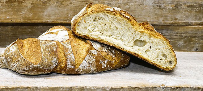 pane-casereccio-finocchietti pane-casereccio-finocchietti