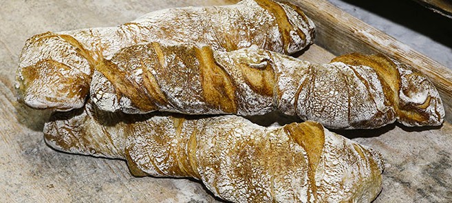 panepetra panepetra