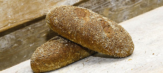 paneprokorn paneprokorn